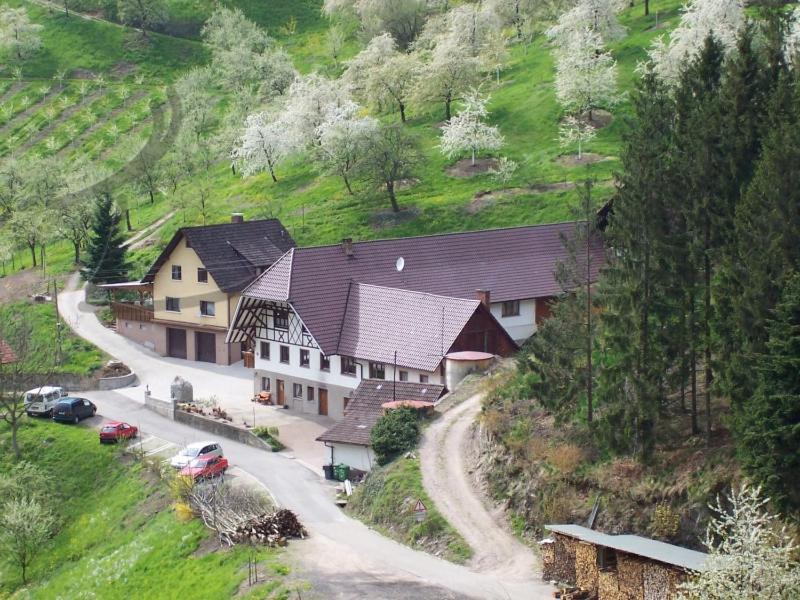 Ferienwohnung Schneckenhus Lautenbach Exteriör bild