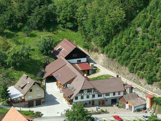 Ferienwohnung Schneckenhus Lautenbach Exteriör bild