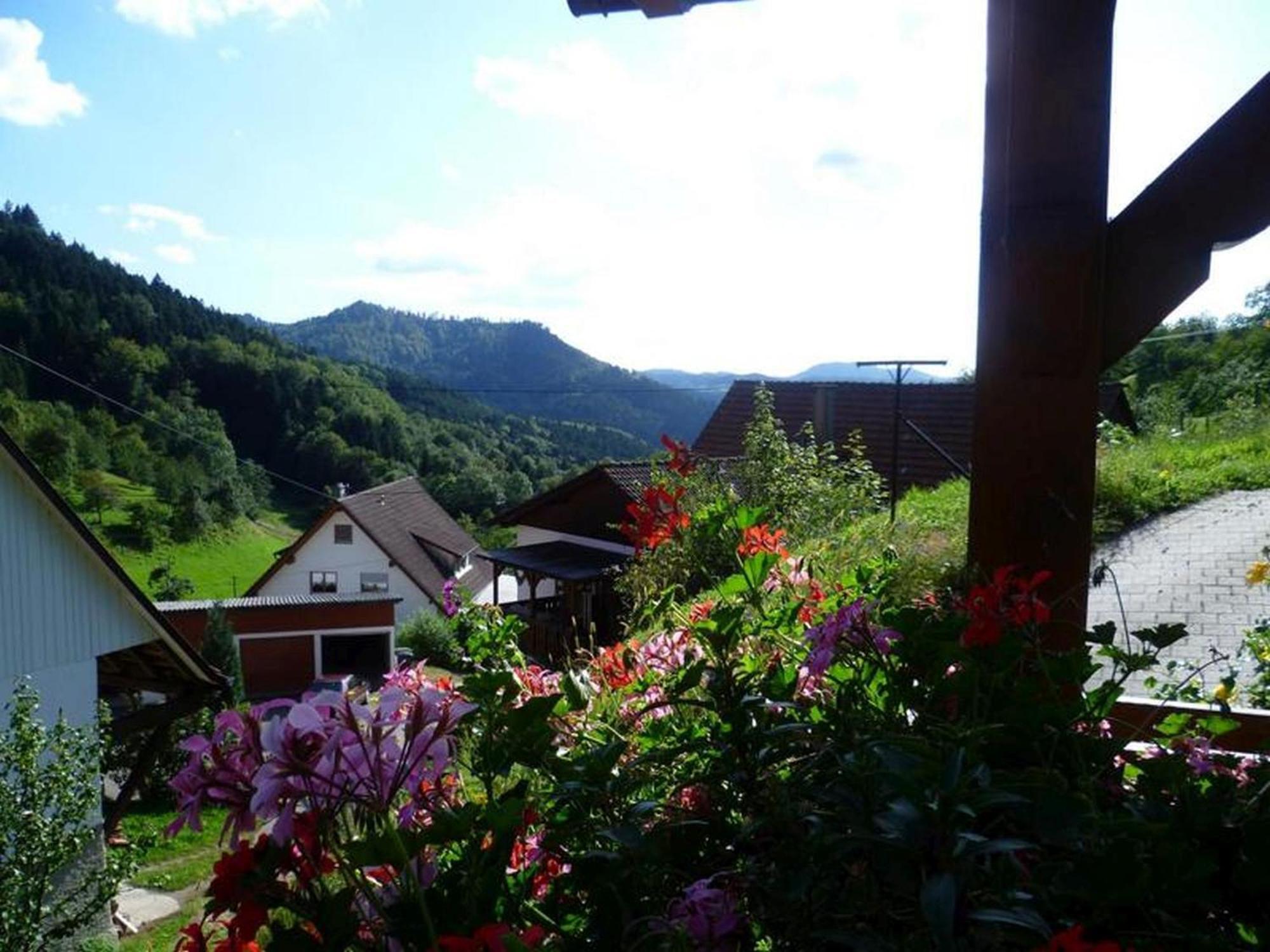 Ferienwohnung Schneckenhus Lautenbach Exteriör bild