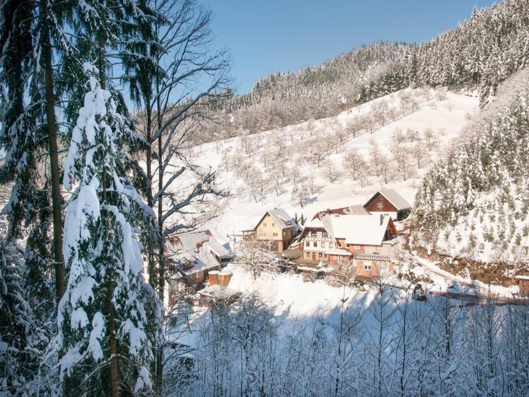 Ferienwohnung Schneckenhus Lautenbach Exteriör bild