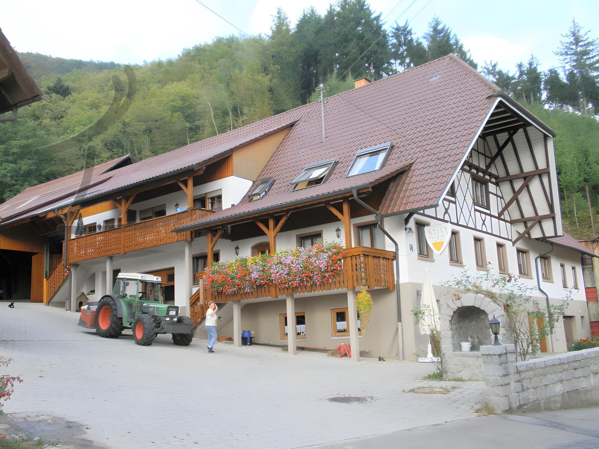 Ferienwohnung Schneckenhus Lautenbach Exteriör bild